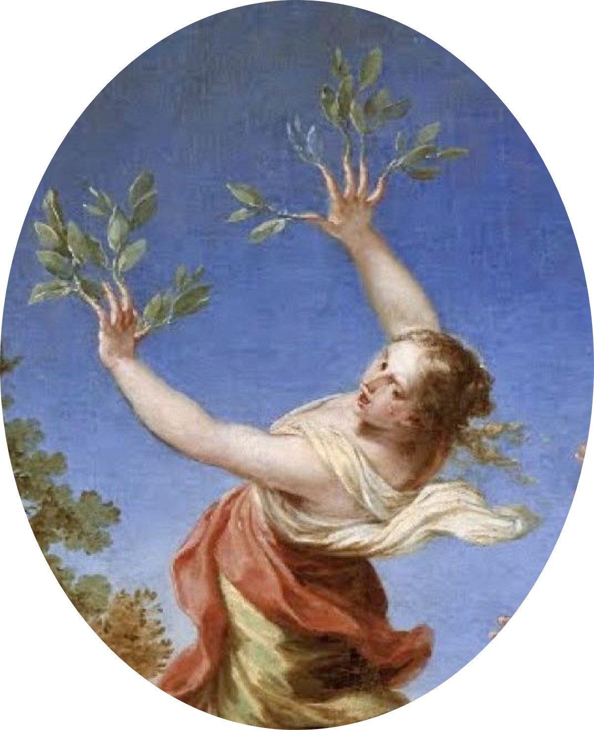 Luti, Daphne
